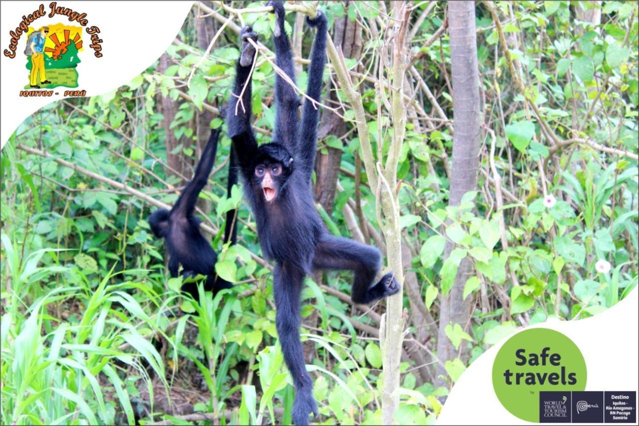 Bed and Breakfast A&T Amazon Backpacker'S Iquitos Exterior foto
